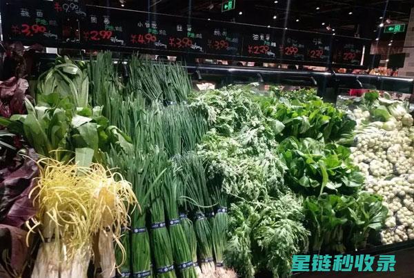 延长蔬菜保鲜期：你必须知道的小窍门 (延长蔬菜保鲜期的方法)