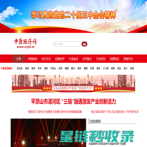 中原经济网